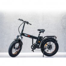 Bicicleta electrica RKS RSII-L, 250 W, Autonomie 35-40 km, 36 V, Viteza maxima 25 km/h, Negru