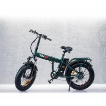 Bicicleta electrica RKS RSII-L, 250 W, Autonomie 35-40 km, 36 V, Viteza maxima 25 km/h, Verde